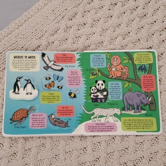 New "Little Explorers: The Animal World" Flap Board Book - Picture 11 of 14